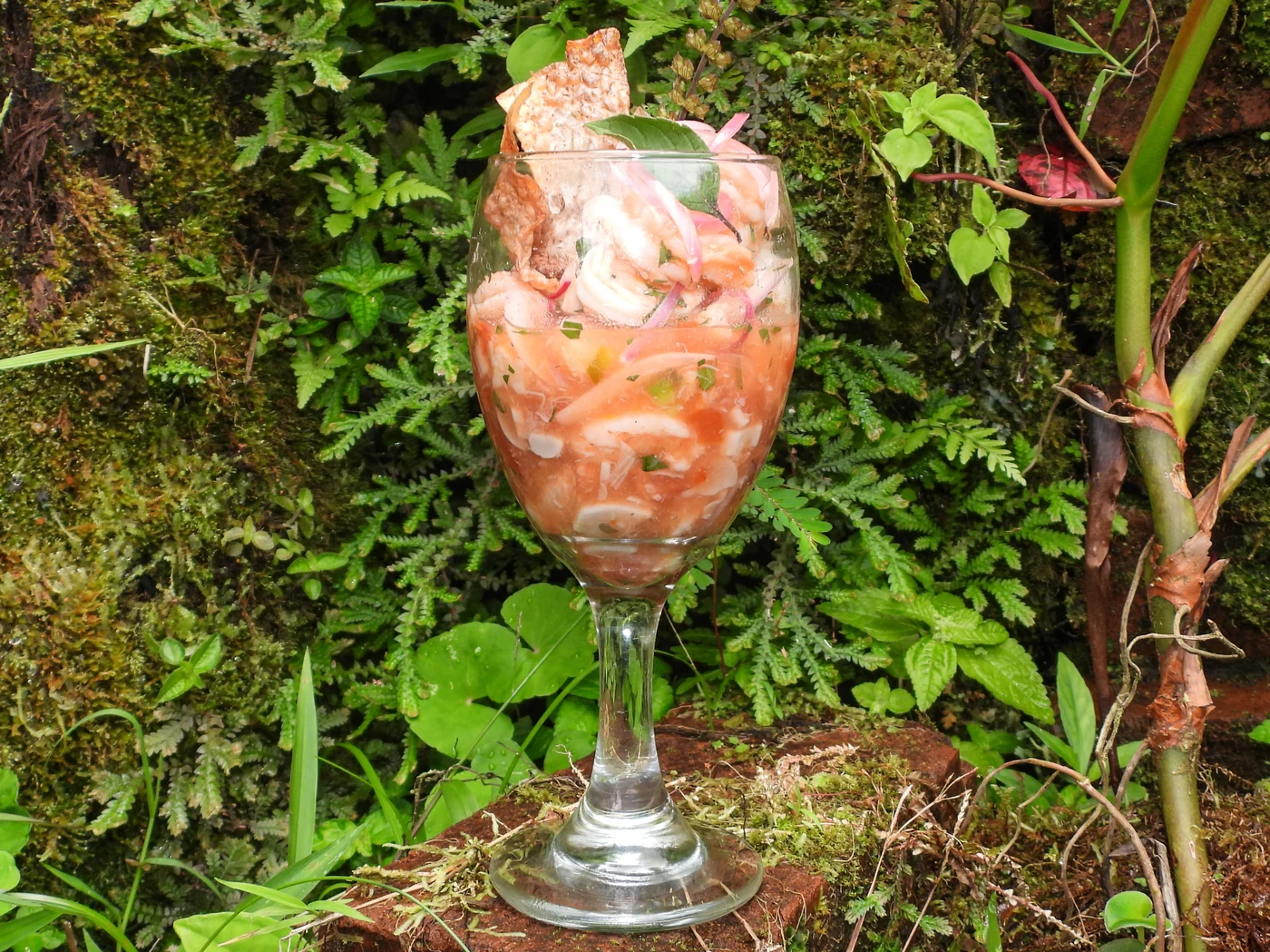 Ceviche de palmito y camarón