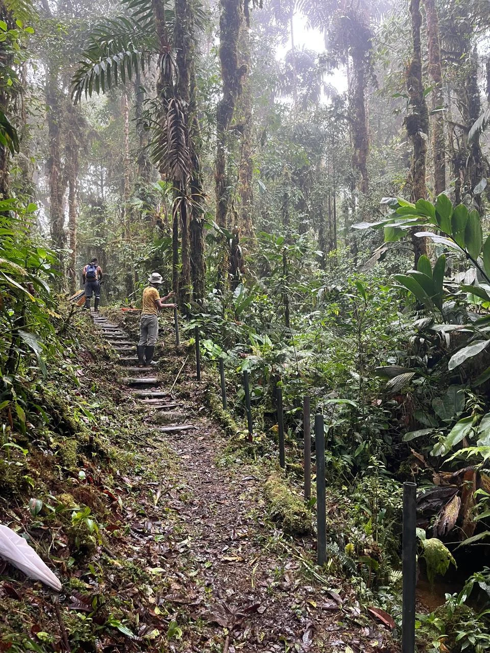 Entrada y sendero de acceso