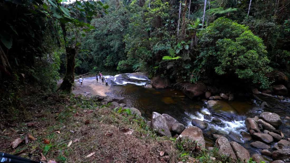 Río dentro de la Reserva Natural Río Ñambí
